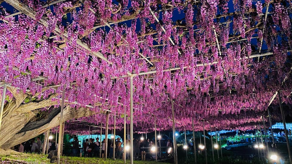 Tokyo: Ashikaga Flower Park With Entry Ticket - Frequently Asked Questions