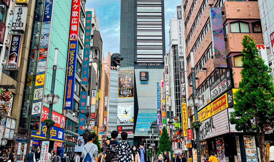 Tokyo: City Tour in Spanish a - Discovering Shinjuku and Kabukicho