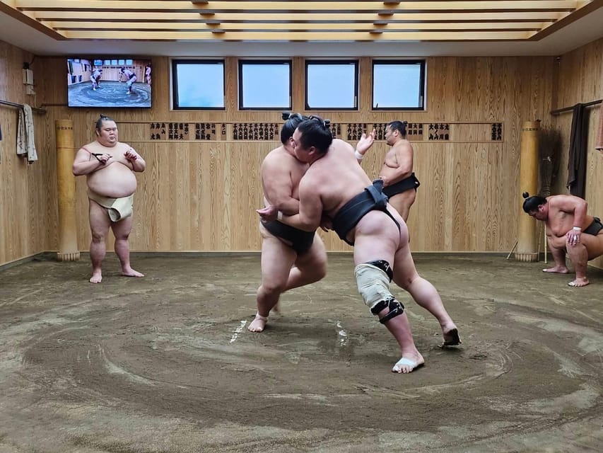 Tokyo: Grand Sumo Morning Training Tour Review - Booking and Cancellation