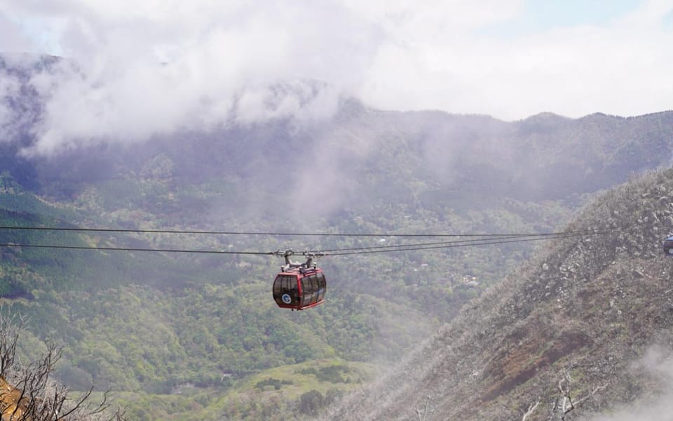 Tokyo: Mount Fuji Lake Ashi Tour Review - Exploring Hakone Shrine and Owakudani