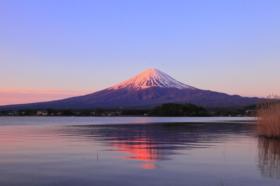 Tokyo: Mt Fuji Area Guided Tour With Traditional Lunch - Recap