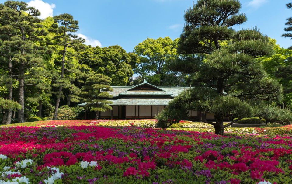 Tokyo Private Sightseeing Tour W/English Speaking Driver - Discovering Senso-ji Temple and Tokyo Skytree