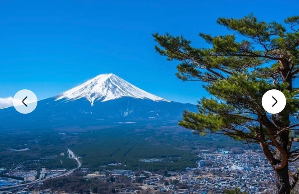 Tokyo:Private Luxury Car Tour to Mt. Fuji and Lake Kawaguchi - Flexibility and Customization