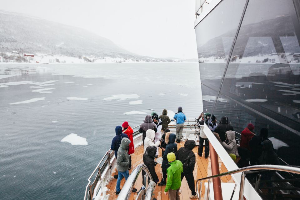 Tromsø: Arctic Fjord Cruise by Hybrid-Electric Catamaran - Guided Tour and Experiences