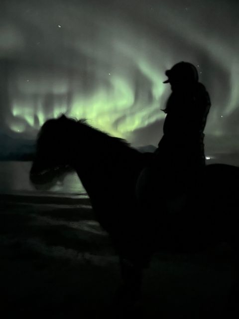 Tromsø: Lyngen Horseback Winter Evening Riding Experience - What to Expect