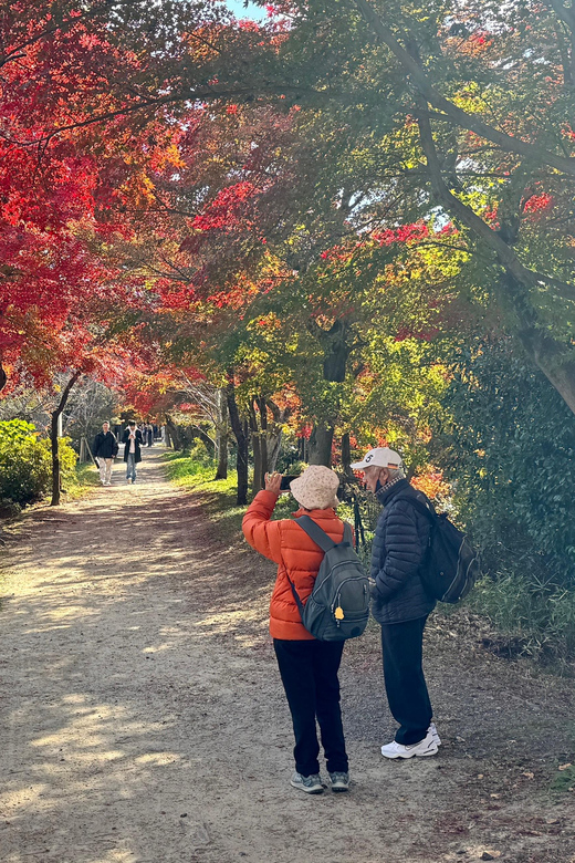 Uji & Fushimi Inari Adventure: Tea, Temples, and Torii Gates - Frequently Asked Questions