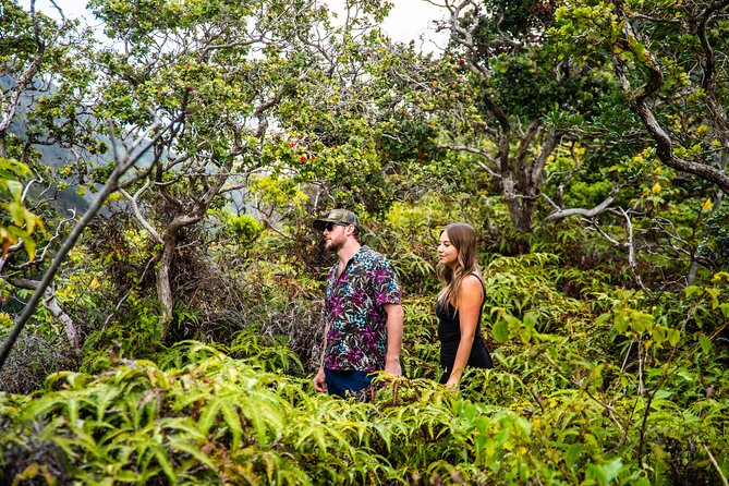 VIP Private Road to Hana Tour With Pick up - Expert Local Guidance