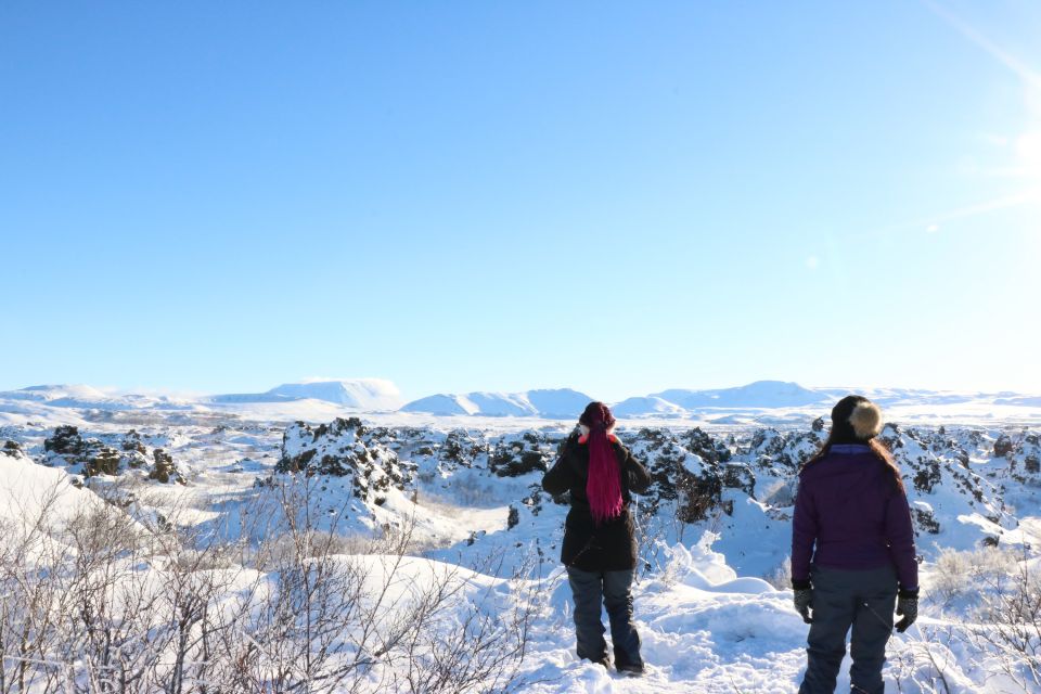 Akureyri: Day Trip to Goðafoss, Lake Mývatn & Nature Baths - Admire Lake Mývatns Birdlife