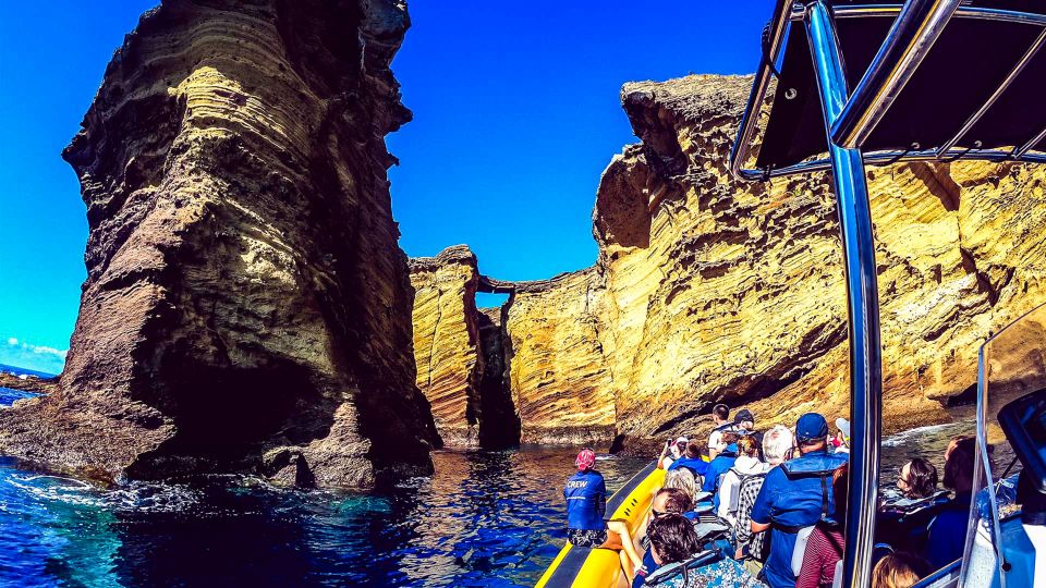 Azores: Whale Watching and Islet Boat Tour - Marine Wildlife Habitats