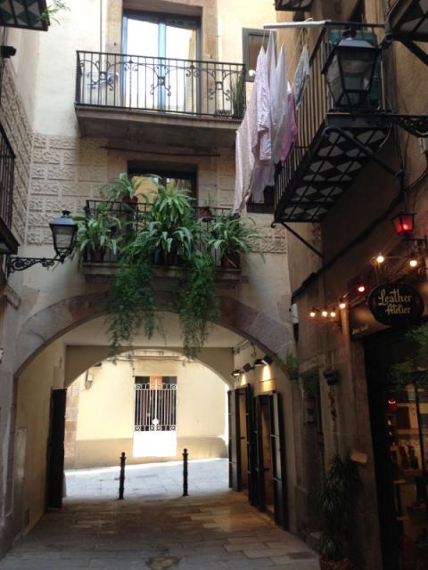 Barcelona: Gothic Quarter Walking Tour - Things To Known