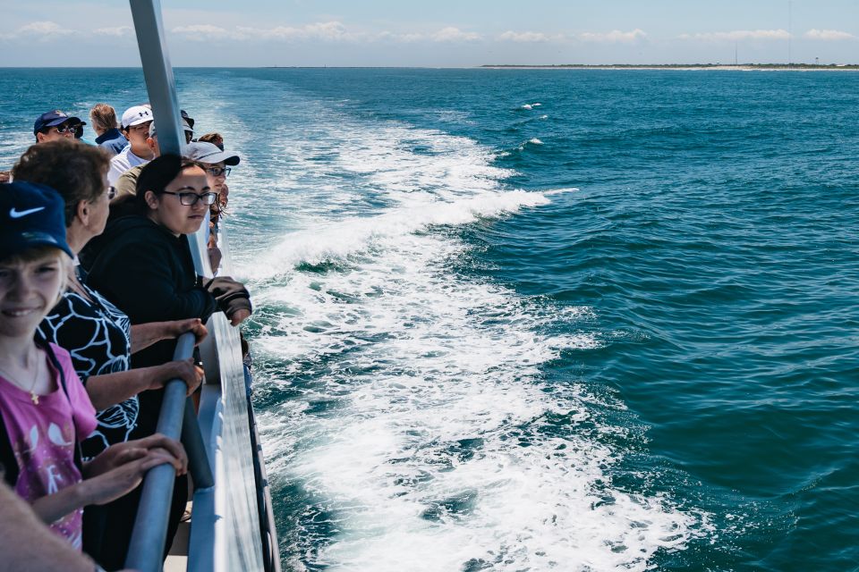 Cape May: Jersey Shore Whale and Dolphin Watching Cruise - Frequently Asked Questions