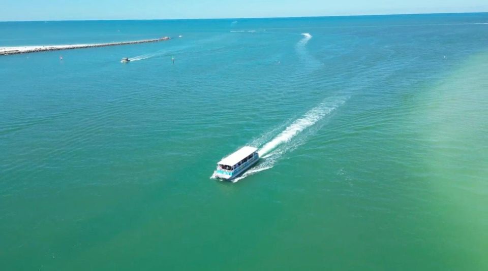 Clearwater Beach: Dolphin and Island Sandbar Boat Tour - Itinerary and Experience