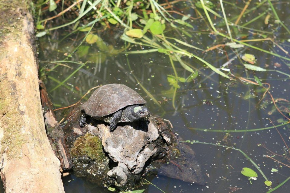 Crystal River: Manatee Viewing Cruise - Frequently Asked Questions