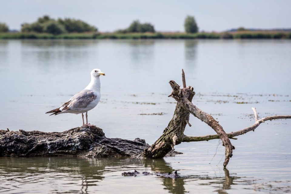 Danube Delta - 2-Day Tour From Bucharest - Frequently Asked Questions