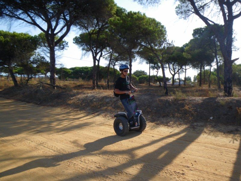 Faro: Ria Formosa Natural Park Segway Tour & Birdwatching - Frequently Asked Questions