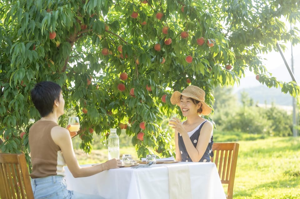 Fine Dining Experience Inside an Orchard Review - Frequently Asked Questions