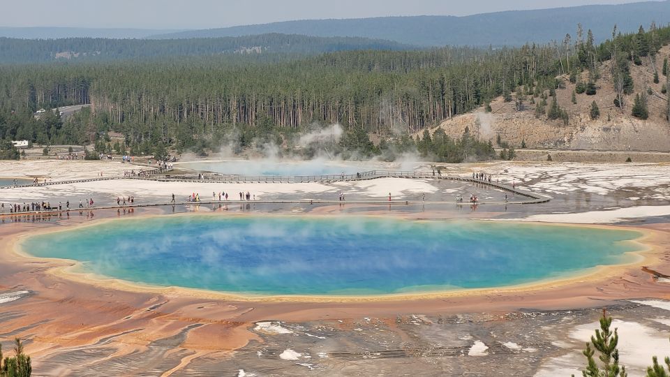 From Cody: Full-Day Yellowstone National Park Tour - Frequently Asked Questions