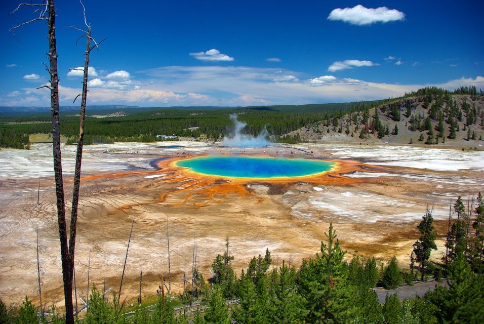 From Jackson: Yellowstone Day Tour Including Entrance Fee - Frequently Asked Questions