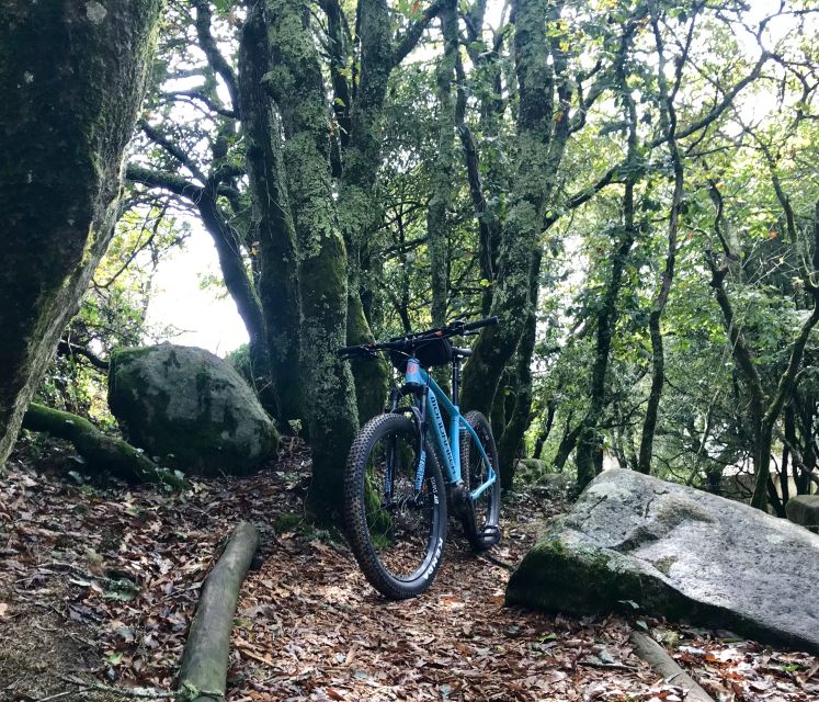 From Lisbon: Sintra Bike Tour With Lunch and 2 Attractions - Recap