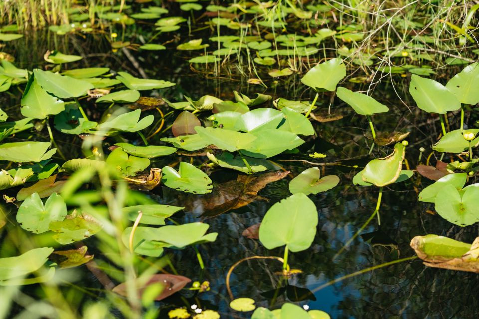 From Miami: Everglades Airboat Ride and Nature Walk - Frequently Asked Questions