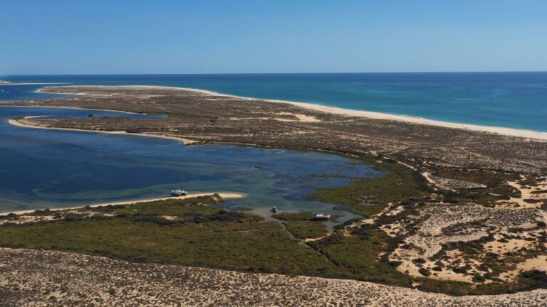 From Olhão: Ria Formosa 3 Island Full Day Tour Tour Details