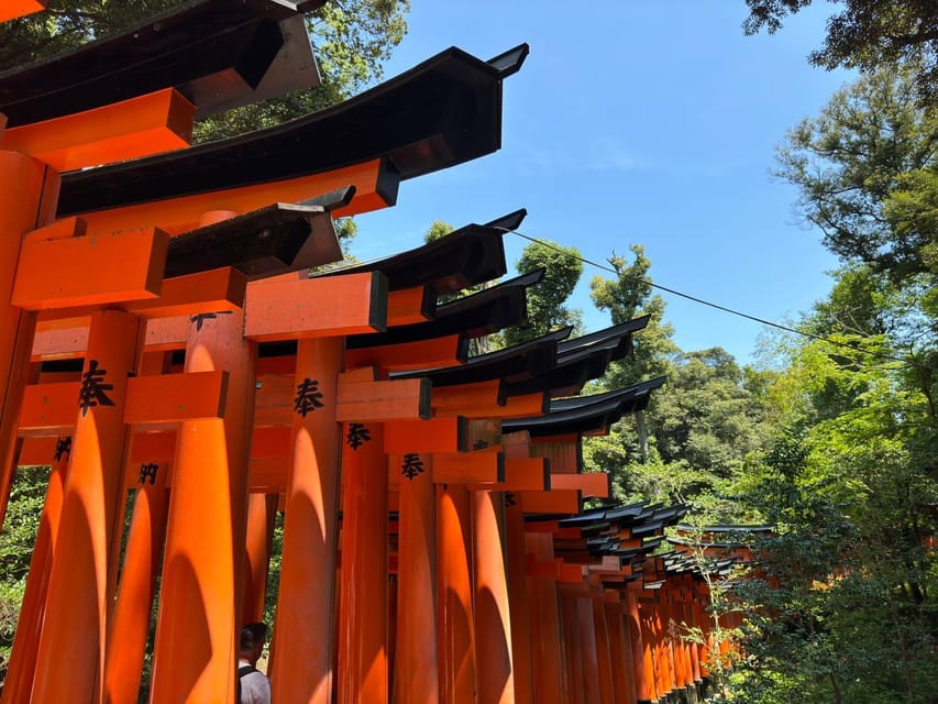 From Osaka: Kyoto Highlights One Day Private Tour - Frequently Asked Questions