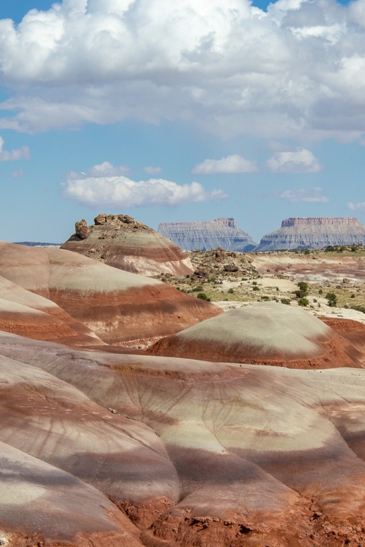 From Salt Lake City: Private Capitol Reef National Park Tour - Frequently Asked Questions