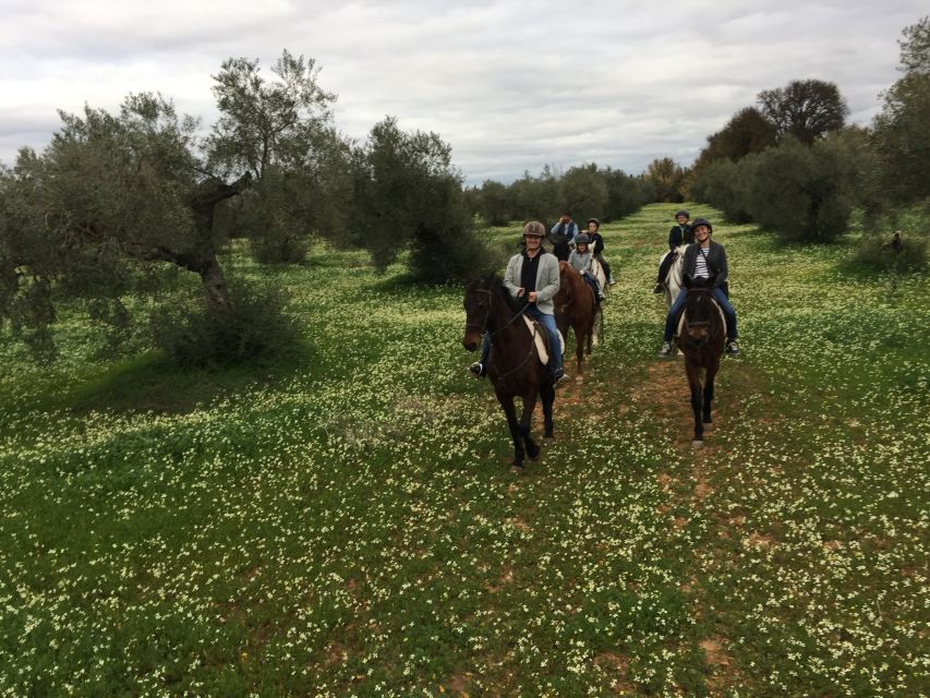 From Seville: Andalusian Horseback Ride - Things To Known