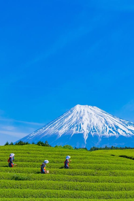 From Tokyo: Mount Fuji Highlight Photo Spots Full-Day Tour - Frequently Asked Questions