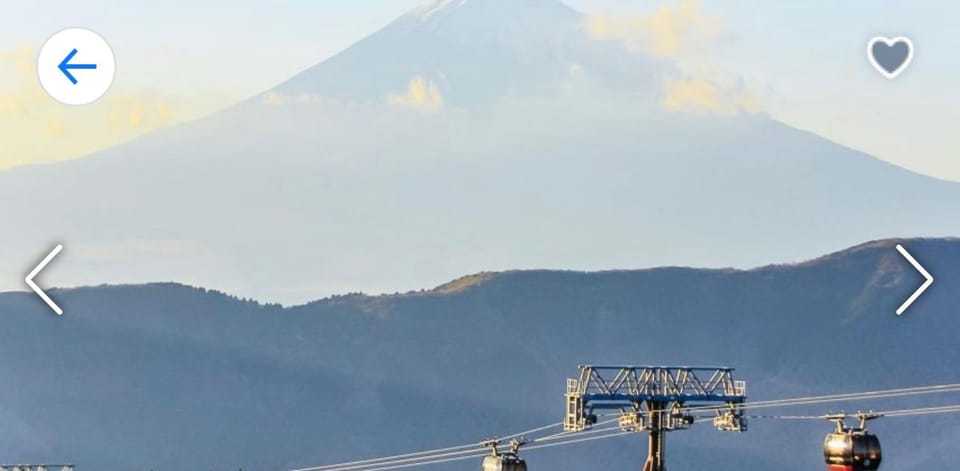 From Tokyo: Mt. Fuji or Hakone Private Sightseeing Day Trip - Frequently Asked Questions