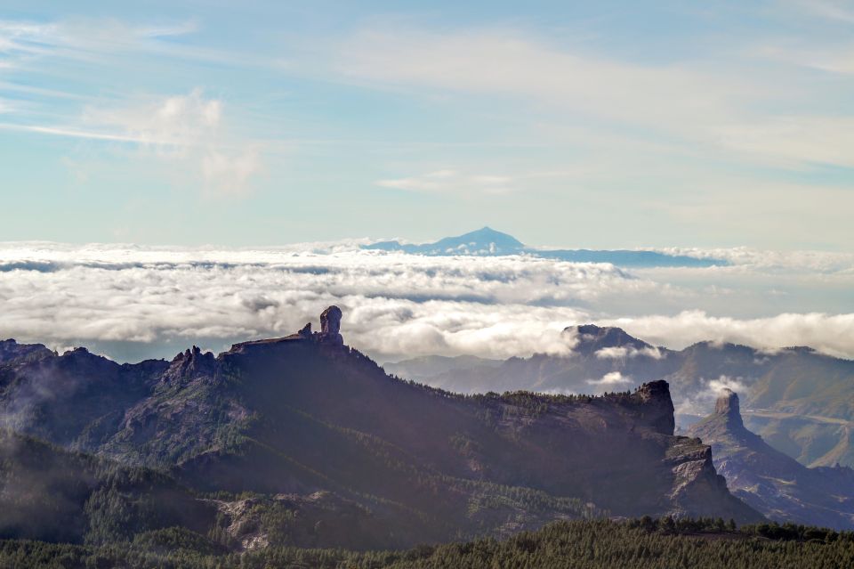 Gran Canaria: Highlights Tour, Hike in the Lauer Forest - Things To Known