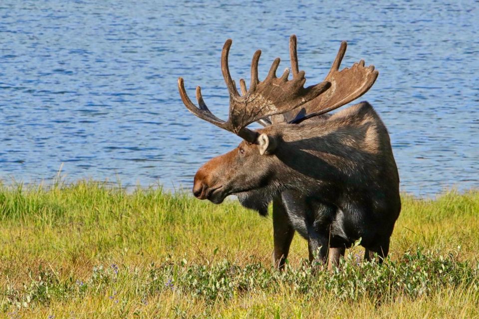 Half-Day RMNP Mountains to Sky Tour-RMNPhotographer - Frequently Asked Questions