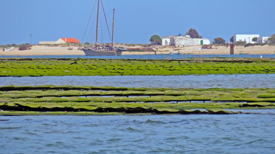 Hello: Private Boat Tour to Ria Formosa - Frequently Asked Questions