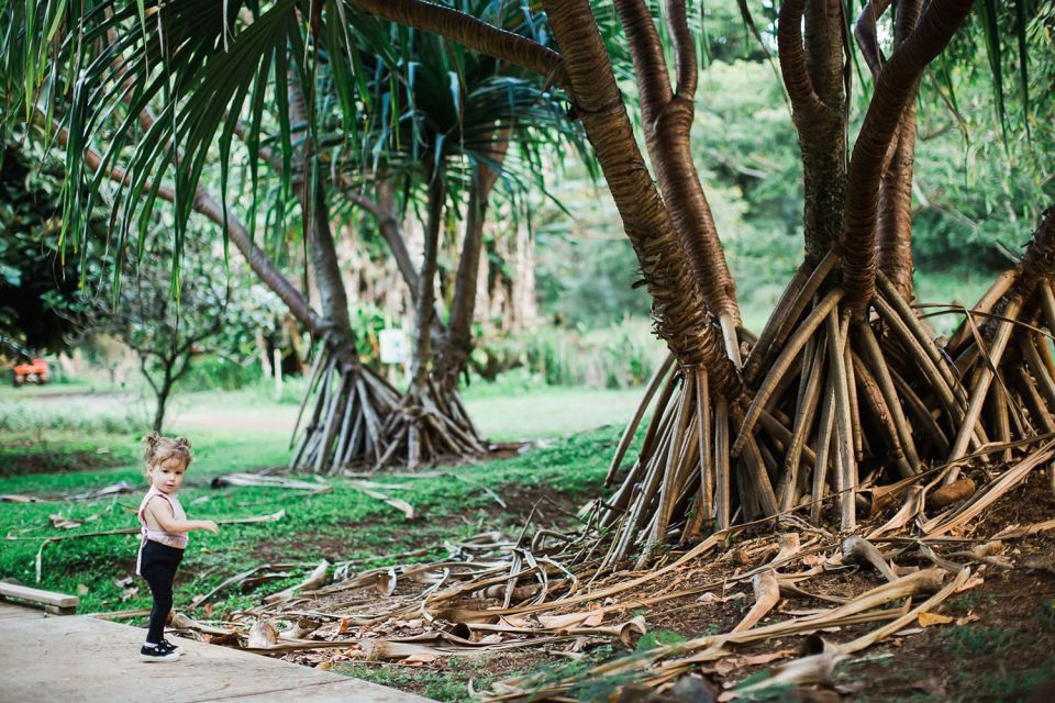 Kauai: McBryde Garden Self Guided Visit - Frequently Asked Questions