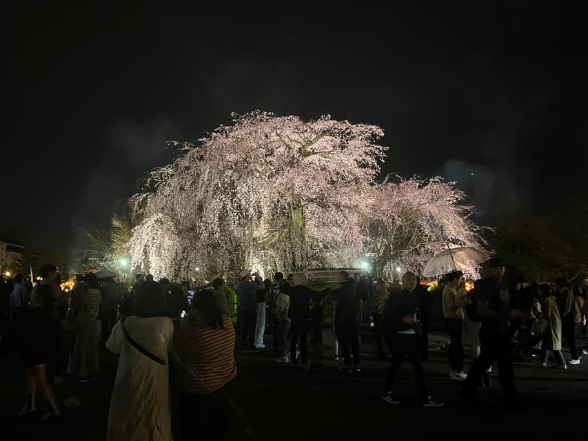 Kyoto: Gion Walking Tour - Frequently Asked Questions