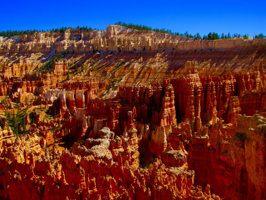 Las Vegas: Bryce and Zion National Parks, Lunch & Free WiFi - Booking and Availability