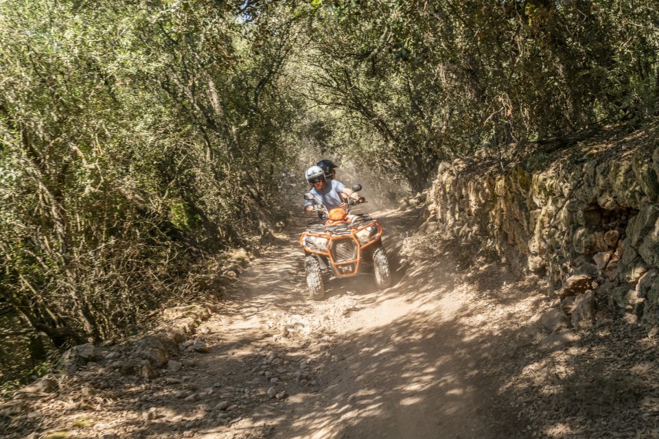 Mallorca: Quad Bike Tour With Snorkeling and Cliff Jumping - Things To Known