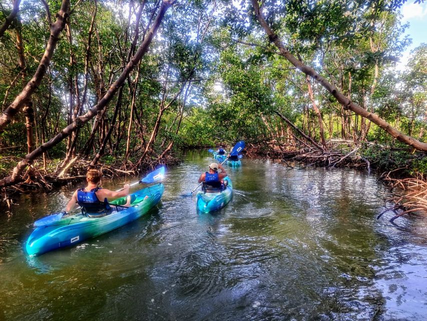 Marco Island: Kayak Mangrove Ecotour in Rookery Bay Reserve - Frequently Asked Questions