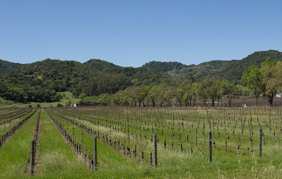 Napa Valley: Wine Tasting Tour by Open Air Trolley & Lunch - Frequently Asked Questions