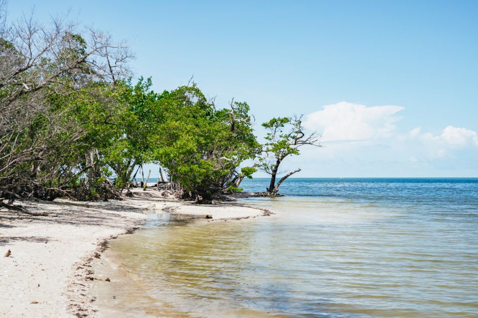 Naples, FL: Manatee, Dolphin, 10,000 Islands Beach Eco Tour - Frequently Asked Questions