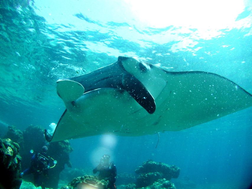 National Park Kerama Islands 2 Boat Fan Diving (With Rental) - Frequently Asked Questions