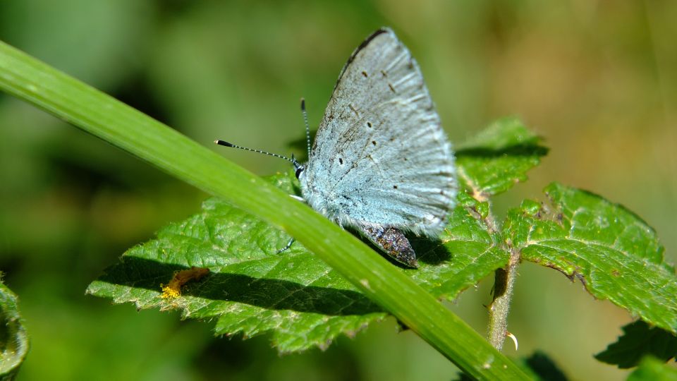 Nature Highlights Private Walking Tour With Transport - Frequently Asked Questions