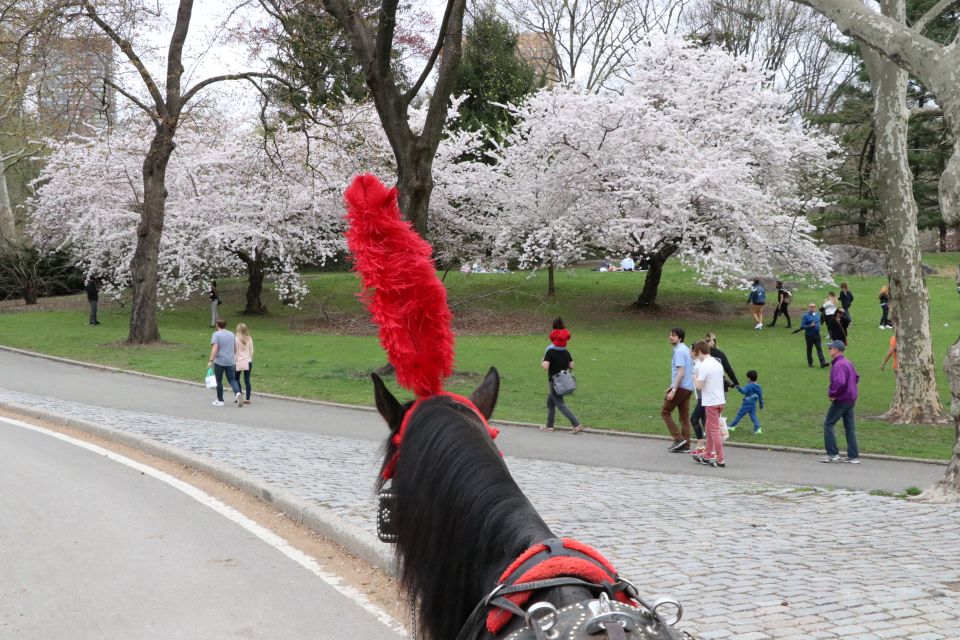 NYC: Guided Standard Central Park Carriage Ride (4 Adults) - Frequently Asked Questions