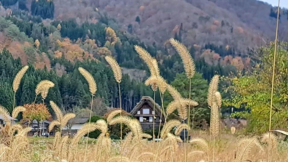 One Day Private Tour to Shirakawa-go & Takayama - Frequently Asked Questions