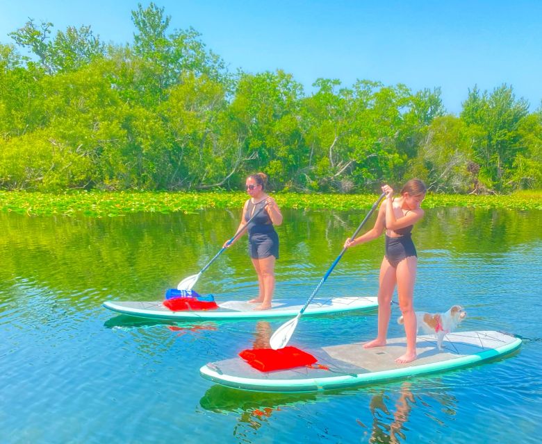 Orlando: Clear Kayak and Paddleboard 2-Hour Rental - Frequently Asked Questions