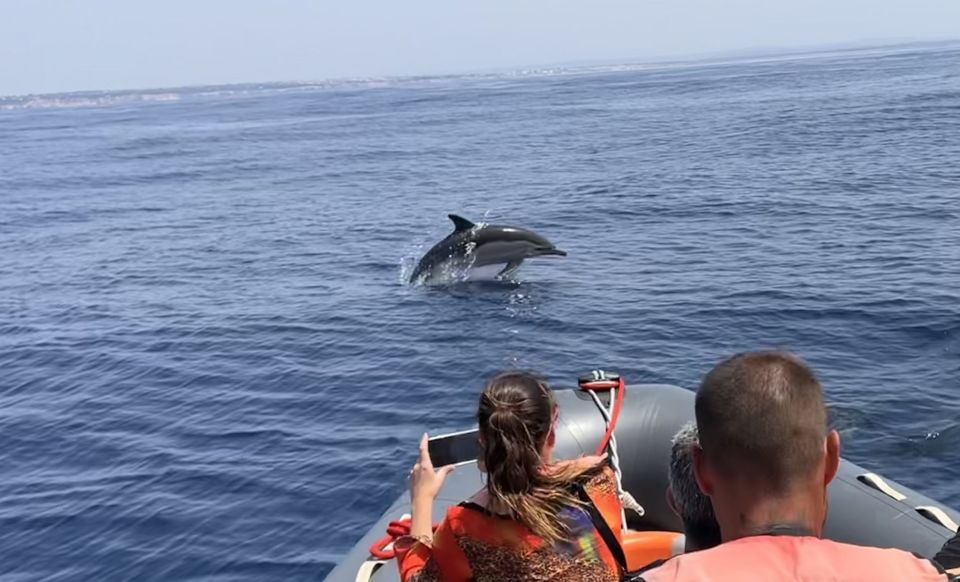 Portimão: Dolphin Watch & Benagil Caves With Biologist Guide - Frequently Asked Questions