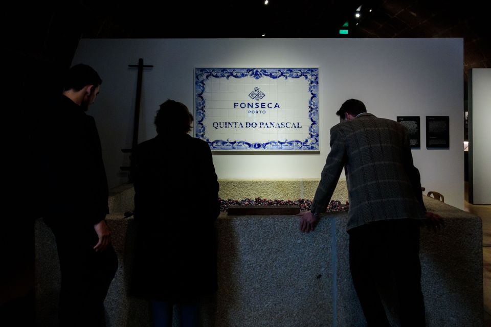 Porto: Cellar Tour, Dinner & Fado Show at Fonseca - Recap