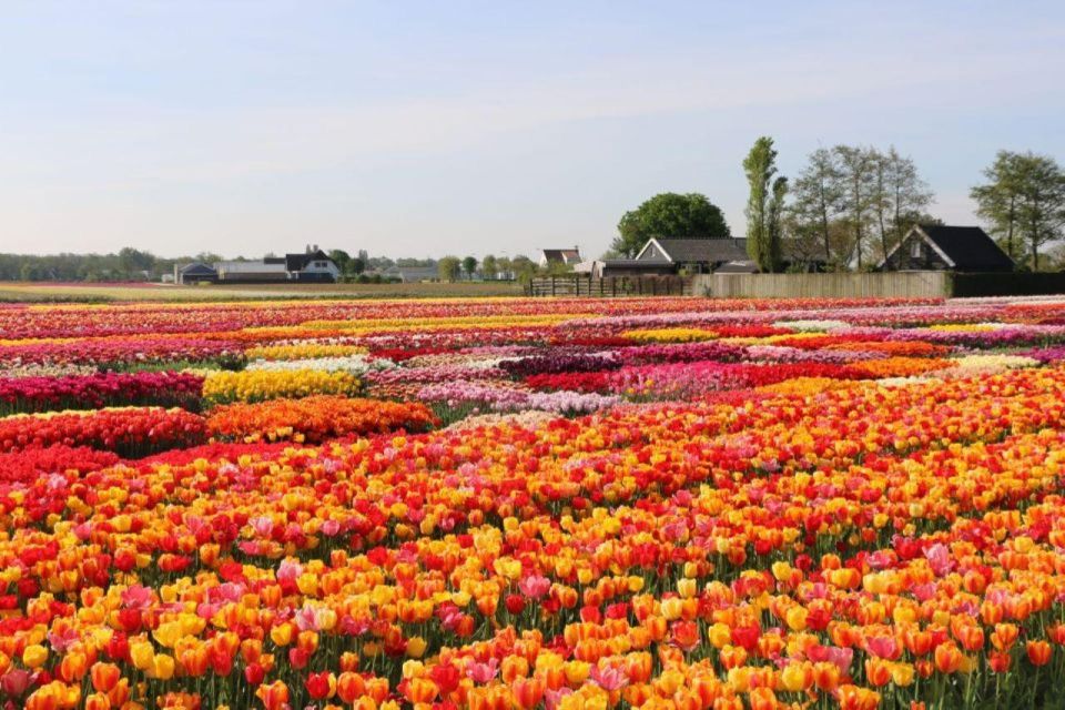 Private Tour to Tulip Experience, Keukenhof & Giethoorn - Frequently Asked Questions