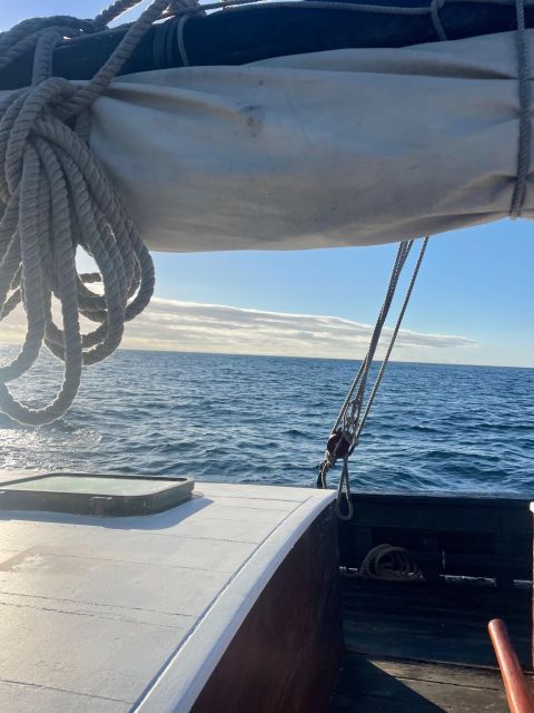 Sesimbra: Cliffs, Bays & Beaches Aboard a Traditional Boat - Frequently Asked Questions