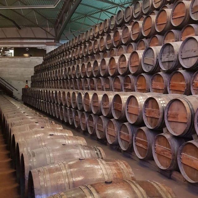 Setúbal Wine Tour: Discover the Moscatel Wine - Recap